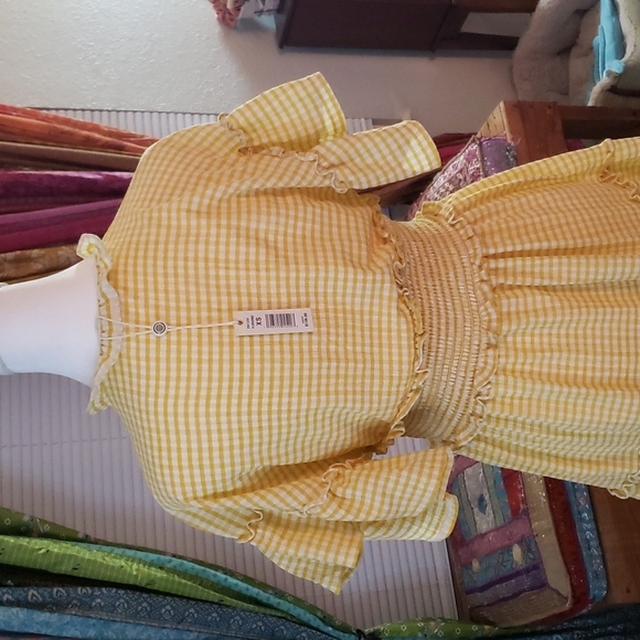 Max Studio Summer Gingham Dress XS - Picture 5 of 6